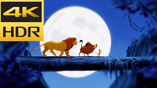 The Lion King Hindi  Hakuna Matata in 4k Ultra HD in Hindi [upl. by Kaiser]