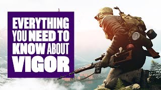 Everything You Need To Know About Vigor [upl. by Aeht136]