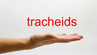 How to Pronounce tracheids  American English [upl. by Brentt735]