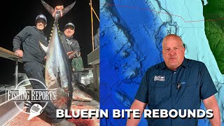 Southern California Bight FISHING REPORT 06062024 [upl. by Eciryt83]