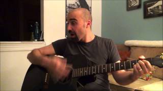 Crunchy Granola Suite  Neil Diamond cover Joe Var Veri [upl. by Cindelyn747]