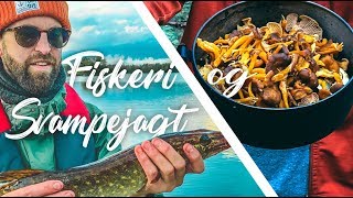 Bushcraft Fiskeri svampejagt og camping i Sverige [upl. by Yrrat]