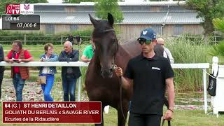 St Henri Detaillon un fils de Goliath du Berlais comme topprice du Show Lumet  ARQANA 2024 [upl. by Cyn559]