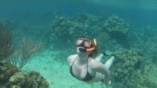 3212013 Isla Roatan Free Diving [upl. by Mahla]