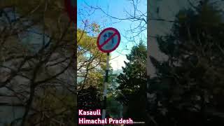 A journey of Kasauli Himachal Pradesh nature india  shimlatour himachal indianarmy peace [upl. by Sven]