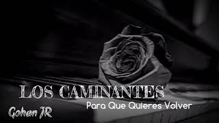 Para Que Quieres Volver  Los Caminantes Letra [upl. by Asiret]