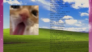 A silly playlist for silly cat people [upl. by Ellehcam]