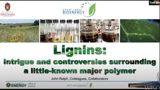 quotLignins Intrigue and Controversies Surrounding a LittleKnown Major Polymerquot John Ralph 111721 [upl. by Ut]