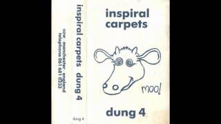 Inspiral Carpets  26 [upl. by Sanford]