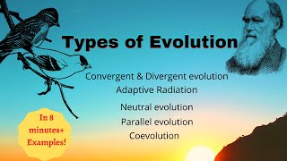 Types of Evolution Sexual selection included [upl. by Gareri575]