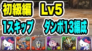 【ハンター作り】1スキップ 初級編 Lv5 周回編成・立ち回り紹介！！【モンスターハンターコラボ】【パズルampドラゴンズ】 [upl. by Aivatnwahs]