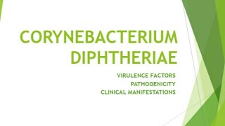 CORYNEBACTERIUM DIPHTHERIAEMICROBIOLOGY LECTURE for medical students [upl. by Drescher]