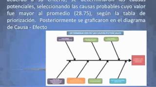 Proyecto de mejora de procesos de atención a la salud en pacientes con sobrepeso y obesidad [upl. by Sirak981]