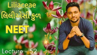 Liliaceae Family  લિલીએસી કુળ  Morphology Of Flowering Plants  NEET  Vijaysir [upl. by Karlotte]