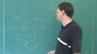 Introduction to amino acids and peptides 3 [upl. by Assiled]