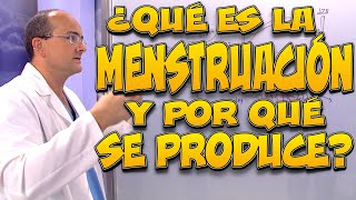 ¿QUÉ es La MENSTRUACIÓN y POR QUÉ se PRODUCE [upl. by Eckhardt691]