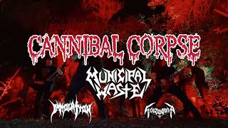 CANNIBAL CORPSE 2024 European Tour with MUNICIPAL WASTE  IMMOLATION  SCHIZOPHRENIA [upl. by Tiat289]