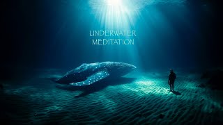 Healing songs of Whales amp Dolphins  Deep Meditation Music for Harmony of Inner Peace [upl. by Nniuqal]