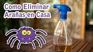 El INSECTICIDA CASERO más POTENTE que nadie te cuenta y las marcas no quieren que conozcas [upl. by Gnim595]