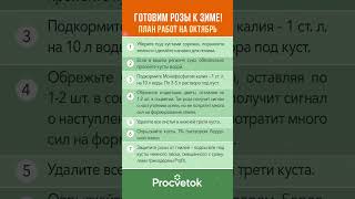 Подготовьте так розы к зиме и пышное цветение гарантировано Сохраняйте в закладки [upl. by Ameerak3]