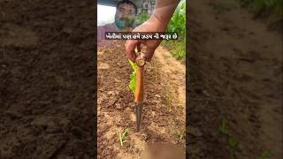 ખેતીમાં પણ હવે ઝડપ ની જરૂર છે farming farmequipment farmmachinery magfali [upl. by Jeannette]