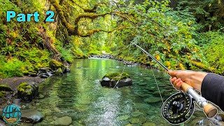 Trout Fishing in a RAINFOREST Fly Fishing Washington [upl. by Oirogerg]