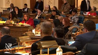 Lameduck dash NJ lawmakers rush to pass bills on final day [upl. by Eseuqram]