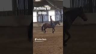 Beginner Riding A Horse On A Circle  My horse riding journey  horseriding horseridinglesson [upl. by Aloap]