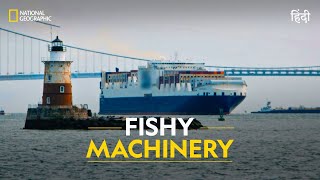 Fishy Machinery  To Catch a Smuggler  हिन्दी  National Geographic [upl. by Cassidy]