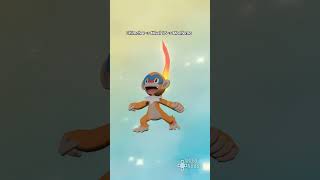 Así evoluciona CHIMCHAR en POKÉMON Leyendas Arceus [upl. by Ellard]