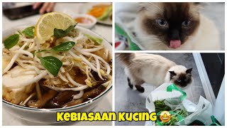 Belanja bahan masakan di Marrickville  Makan Vegan Pho  Pulang disambut Simba kucing lucu [upl. by Eniale126]