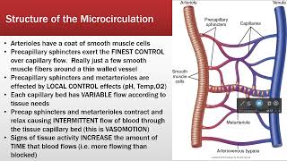 Microcirculation [upl. by Odraboel]