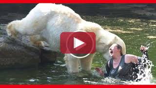 OSO BLANCO hace pedazos a esta muj3r😱 en Zoológico de Texas esta mañana [upl. by Lessirg]