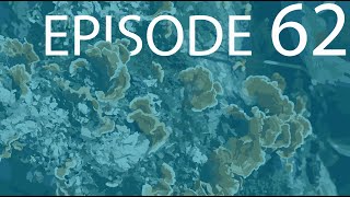 Episode 62  Fungal Nutrition [upl. by Edan]