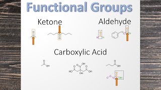 Organic Chemistry Functional Groups [upl. by Ellerret]