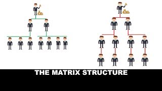 The Matrix Structure [upl. by Hoban692]