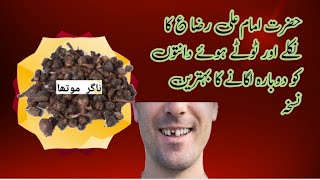 دانتوں کو دوبارہ اگانے کا نسخہPrescription for regrowing teeth [upl. by Laet785]