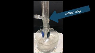 HydroborationOxidation of 1Octene Experiment Part 4 Carrying out the Oxidation Reaction and GC [upl. by Adila]