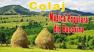 Colaj Muzica Populara Romaneasca din Bucovina [upl. by Nolyd]