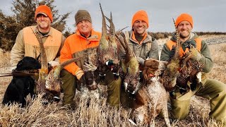 South Dakota Pheasant Hunting Road Trip  The Flush Season 12 Episode 11 [upl. by Lura812]