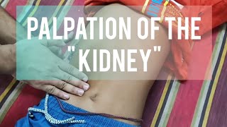 palpation of the kidney  clinical examination  medicine ward  sanowarhossain1290 [upl. by Notaek]