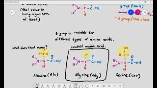 A Level Biology Revision quotTertiary Structure and Quaternary Structure of Proteinsquot [upl. by Haynor]