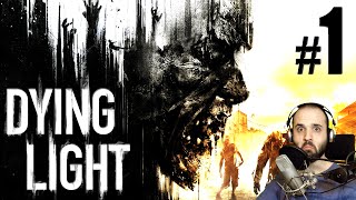 Dying Light – PC Low vs Ultra Graphics Comparison Preview Version WQHD [upl. by Nyral]