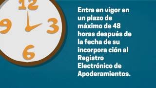 Registro Electrónico de Apoderamiento REA [upl. by Lledyr]