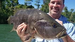 Black Bass amp Spottail Bass Adventure  Baia Sportfishing PNG [upl. by Goldberg]