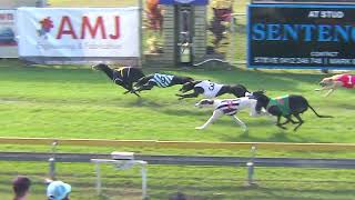 Capalaba23062024Race6 [upl. by Atineb]