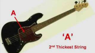 Bass Guitar Tuning [upl. by Press]