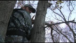 Live Hunt Missouri Part 1 [upl. by Haggerty]