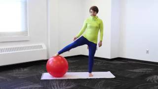 31 Days of Fitness Adduction amp Abductors with Stability Ball [upl. by Pat499]