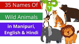 Manipuri Names Of 35 Wild Animals  Hindi amp English  EP21 [upl. by Rollo]